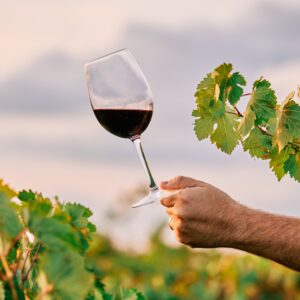 vertical-shot-person-holding-glass-wine-vineyard-sunlight