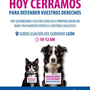 poster manifestacion 26
