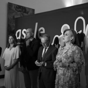 Asamblea asele 2026-30