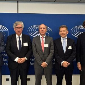 Visita Bruselas Europarlamentarios (1)